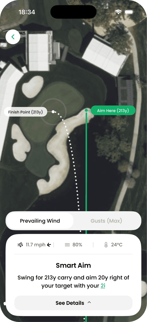 Smart Aim detailed recommendation